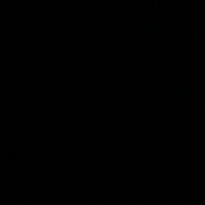 Meet your Posher, Camren